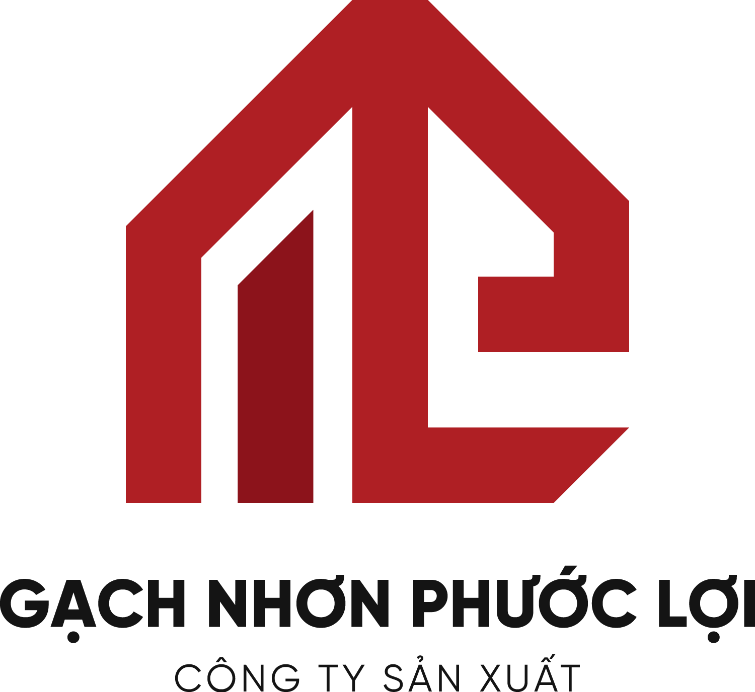 Logo NPL V2 01