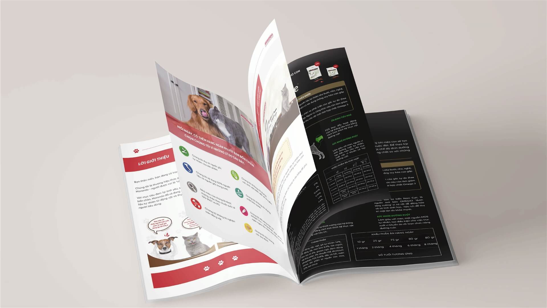Dịch vụ thiết kế Brochure chuyên nghiệp, sáng tạo chỉ từ 02 triệu đồng 3 Brochure như một công cụ hỗ trợ khi tư vấn cho khách